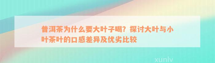 普洱茶为什么要大叶子喝？探讨大叶与小叶茶叶的口感差异及优劣比较