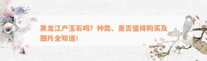 黑龙江产玉石吗？种类、是否值得购买及图片全知道！