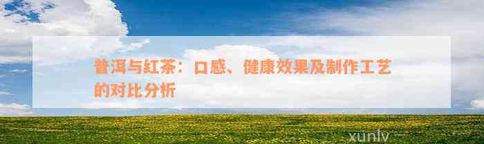 普洱与红茶：口感、健康效果及制作工艺的对比分析