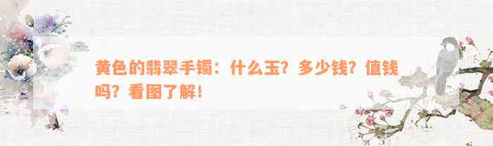 黄色的翡翠手镯：什么玉？多少钱？值钱吗？看图了解！