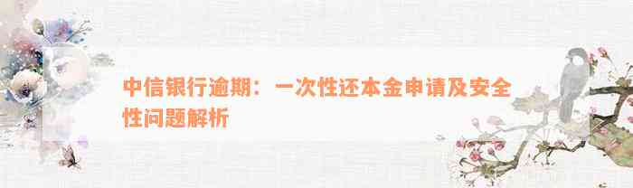 中信银行逾期：一次性还本金申请及安全性问题解析