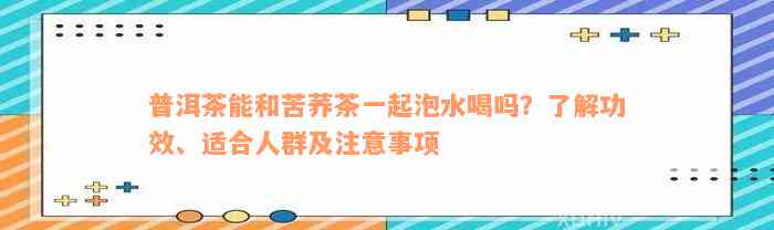 普洱茶能和苦荞茶一起泡水喝吗？了解功效、适合人群及注意事项