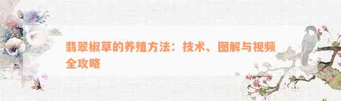 翡翠椒草的养殖方法：技术、图解与视频全攻略