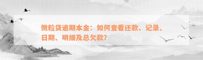 微粒贷逾期本金：如何查看还款、记录、日期、明细及总欠款？