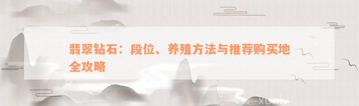 翡翠钻石：段位、养殖方法与推荐购买地全攻略