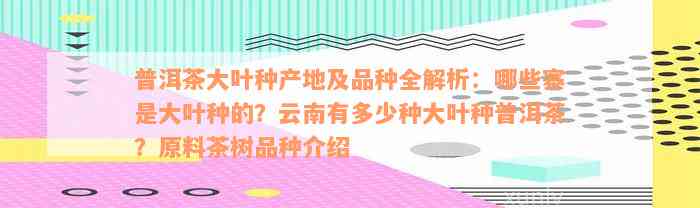 普洱茶大叶种产地及品种全解析：哪些寨是大叶种的？云南有多少种大叶种普洱茶？原料茶树品种介绍