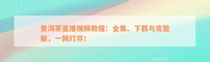 普洱茶直播视频教程：全集、下载与完整版，一网打尽！