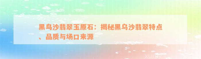 黑鸟沙翡翠玉原石：揭秘黑乌沙翡翠特点、品质与场口来源