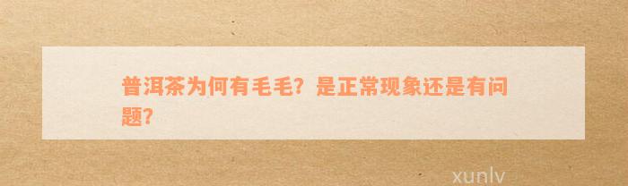 普洱茶为何有毛毛？是正常现象还是有问题？