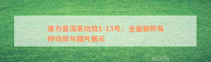 康力普洱茶功效1-13号：全面解析每种功效与图片展示