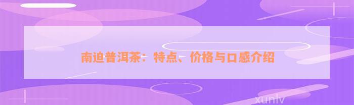 南迫普洱茶：特点、价格与口感介绍