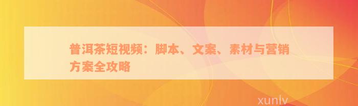 普洱茶短视频：脚本、文案、素材与营销方案全攻略