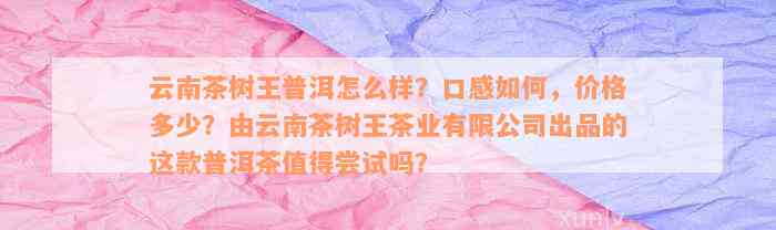 云南茶树王普洱怎么样？口感如何，价格多少？由云南茶树王茶业有限公司出品的这款普洱茶值得尝试吗？