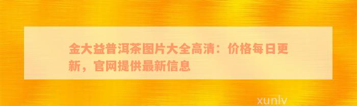 金大益普洱茶图片大全高清：价格每日更新，官网提供最新信息