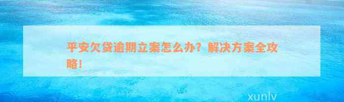 平安欠贷逾期立案怎么办？解决方案全攻略！