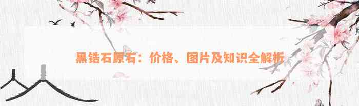 黑锆石原石：价格、图片及知识全解析