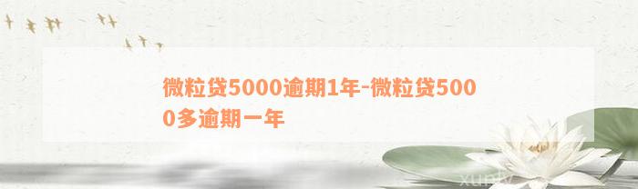 微粒贷5000逾期1年-微粒贷5000多逾期一年