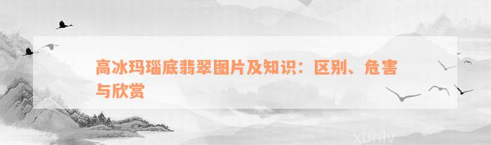 高冰玛瑙底翡翠图片及知识：区别、危害与欣赏