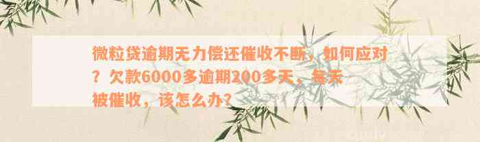 微粒贷逾期无力偿还催收不断，如何应对？欠款6000多逾期200多天，每天被催收，该怎么办？