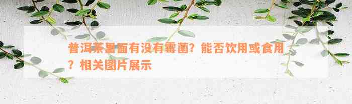 普洱茶里面有没有霉菌？能否饮用或食用？相关图片展示