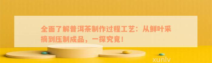 全面了解普洱茶制作过程工艺：从鲜叶采摘到压制成品，一探究竟！