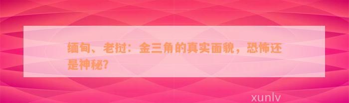 缅甸、老挝：金三角的真实面貌，恐怖还是神秘？