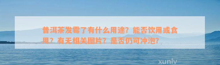 普洱茶发霉了有什么用途？能否饮用或食用？有无相关图片？是否仍可冲泡？