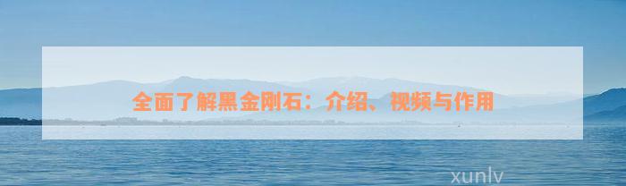 全面了解黑金刚石：介绍、视频与作用