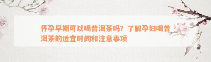 怀孕早期可以喝普洱茶吗？了解孕妇喝普洱茶的适宜时间和注意事项