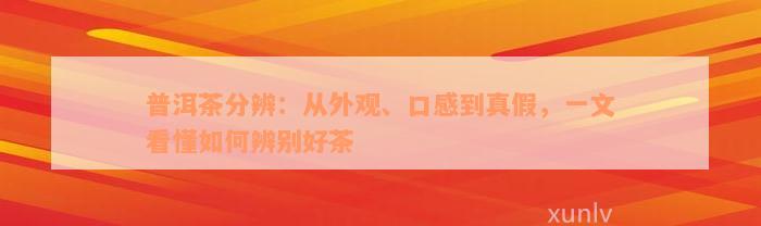 普洱茶分辨：从外观、口感到真假，一文看懂如何辨别好茶