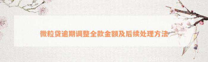 微粒贷逾期调整全款金额及后续处理方法