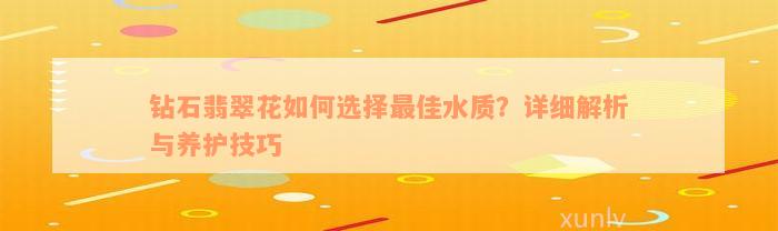 钻石翡翠花如何选择最佳水质？详细解析与养护技巧