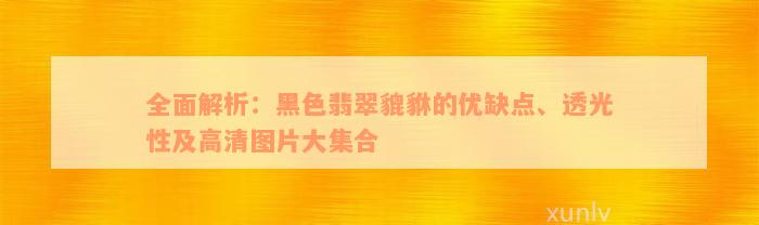 全面解析：黑色翡翠貔貅的优缺点、透光性及高清图片大集合