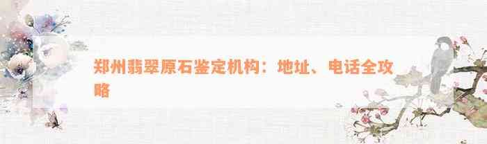 郑州翡翠原石鉴定机构：地址、电话全攻略