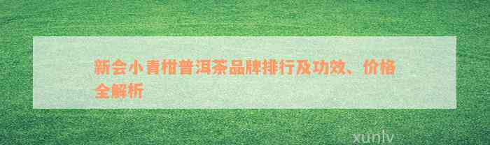 新会小青柑普洱茶品牌排行及功效、价格全解析