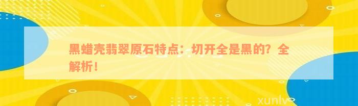 黑蜡壳翡翠原石特点：切开全是黑的？全解析！