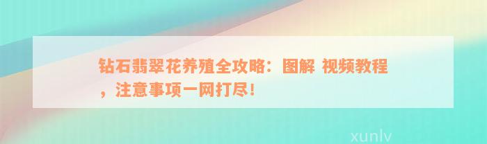 钻石翡翠花养殖全攻略：图解 视频教程，注意事项一网打尽！