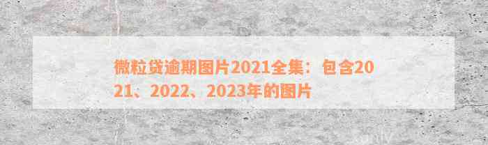 微粒贷逾期图片2021全集：包含2021、2022、2023年的图片