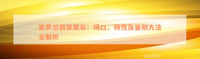 紫罗兰翡翠原石：场口、特性及鉴别方法全解析