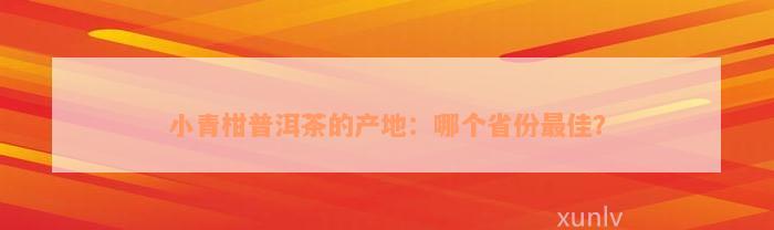 小青柑普洱茶的产地：哪个省份最佳？