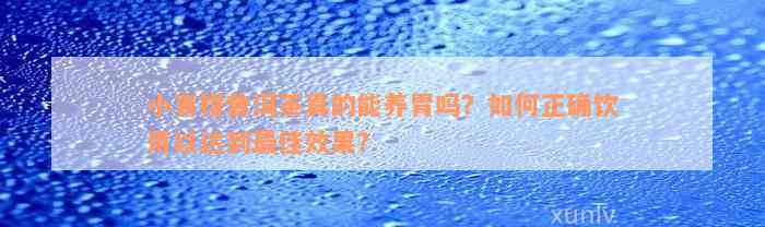 小青柑普洱茶真的能养胃吗？如何正确饮用以达到最佳效果？