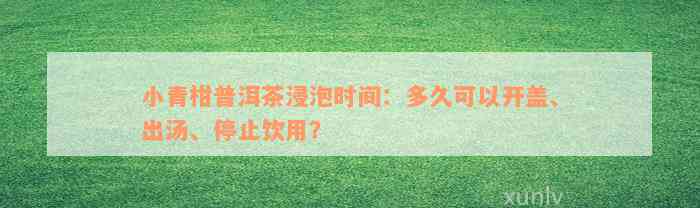 小青柑普洱茶浸泡时间：多久可以开盖、出汤、停止饮用？