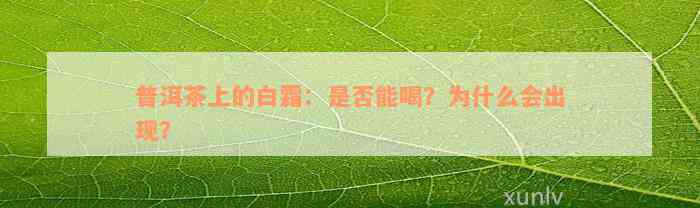 普洱茶上的白霜：是否能喝？为什么会出现？