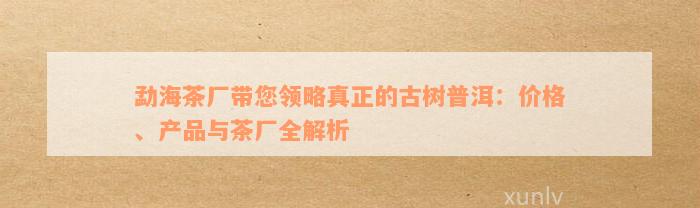 勐海茶厂带您领略真正的古树普洱：价格、产品与茶厂全解析