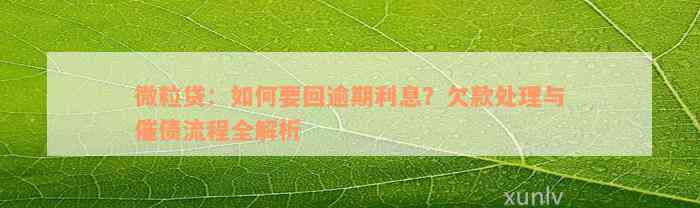 微粒贷：如何要回逾期利息？欠款处理与催债流程全解析