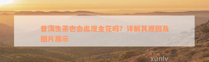 普洱生茶也会出现金花吗？详解其原因及图片展示