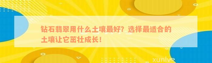 钻石翡翠用什么土壤最好？选择最适合的土壤让它茁壮成长！