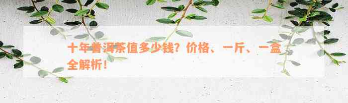 十年普洱茶值多少钱？价格、一斤、一盒全解析！