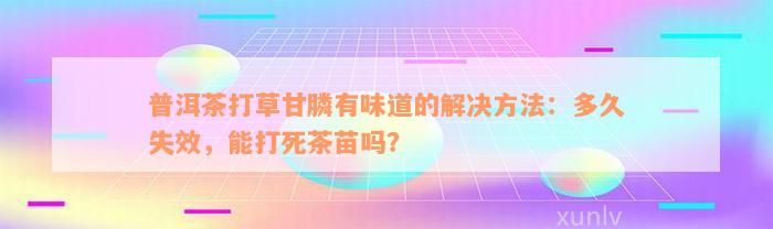 普洱茶打草甘膦有味道的解决方法：多久失效，能打死茶苗吗？