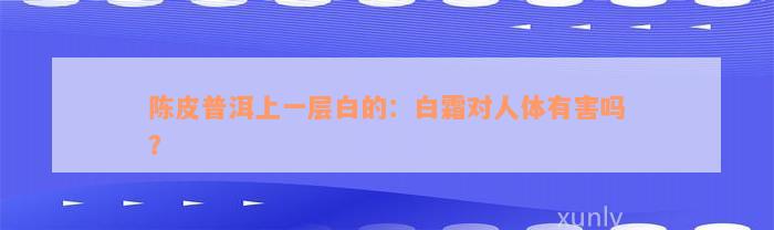 陈皮普洱上一层白的：白霜对人体有害吗？